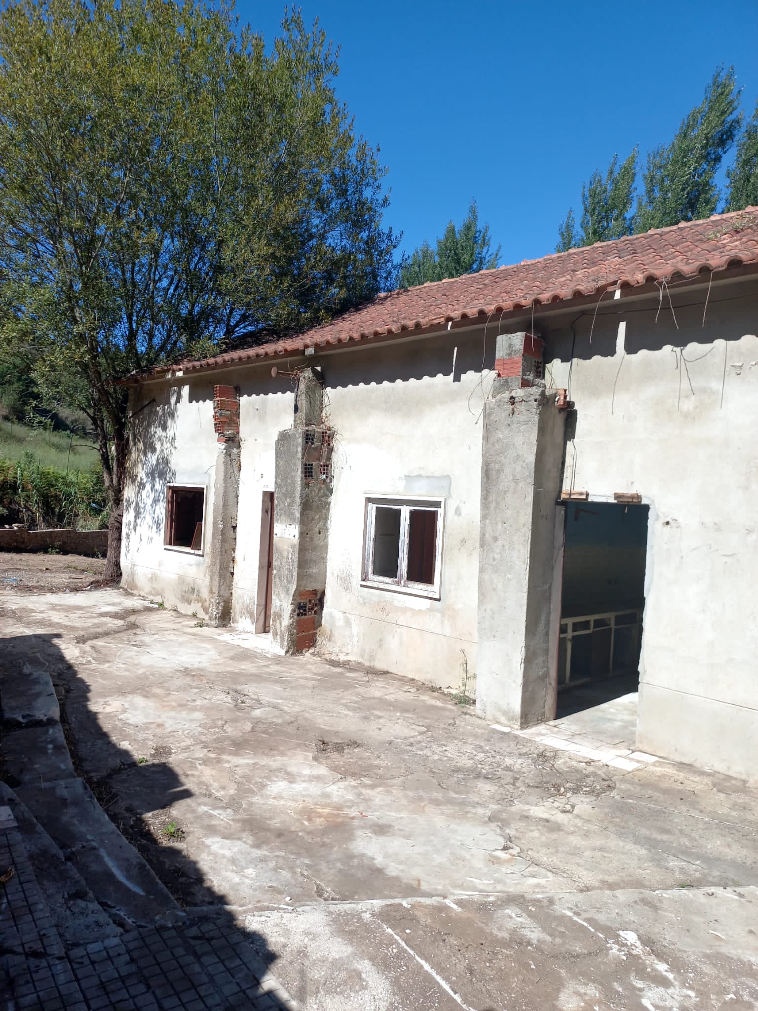 Quinta com 10 mil m2, casa, em  Monte Bois, Bárrio, Alcobaça