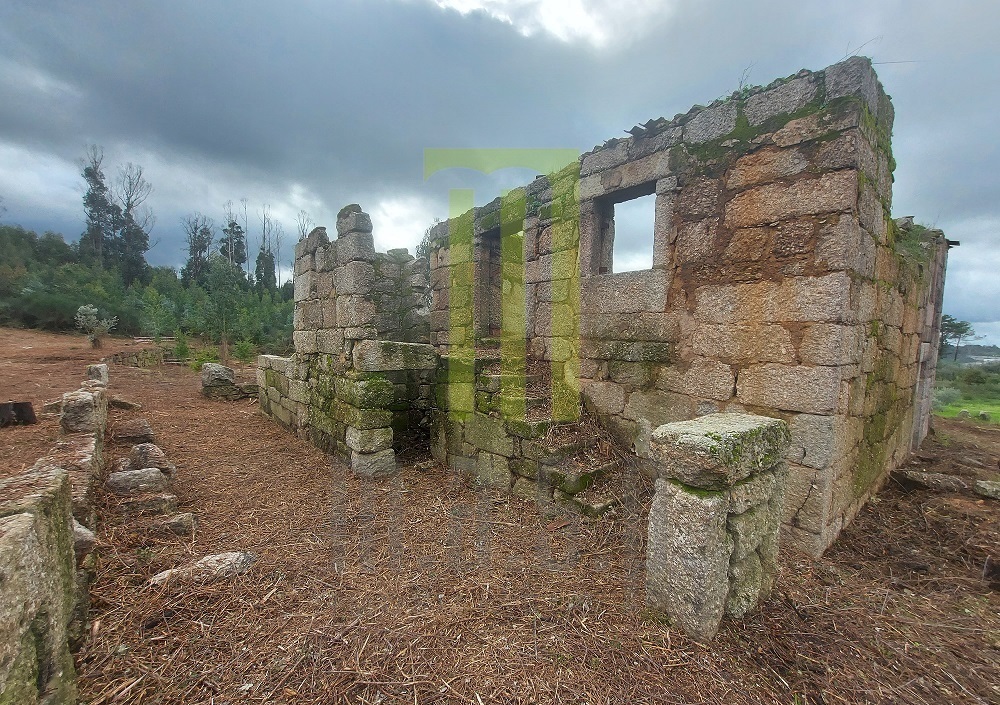 Quinta dos Vinhais com uma ruína para reconstruir