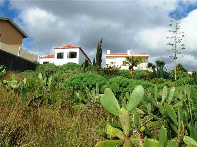Vende-se lote de terreno no Caniço - Madeira
