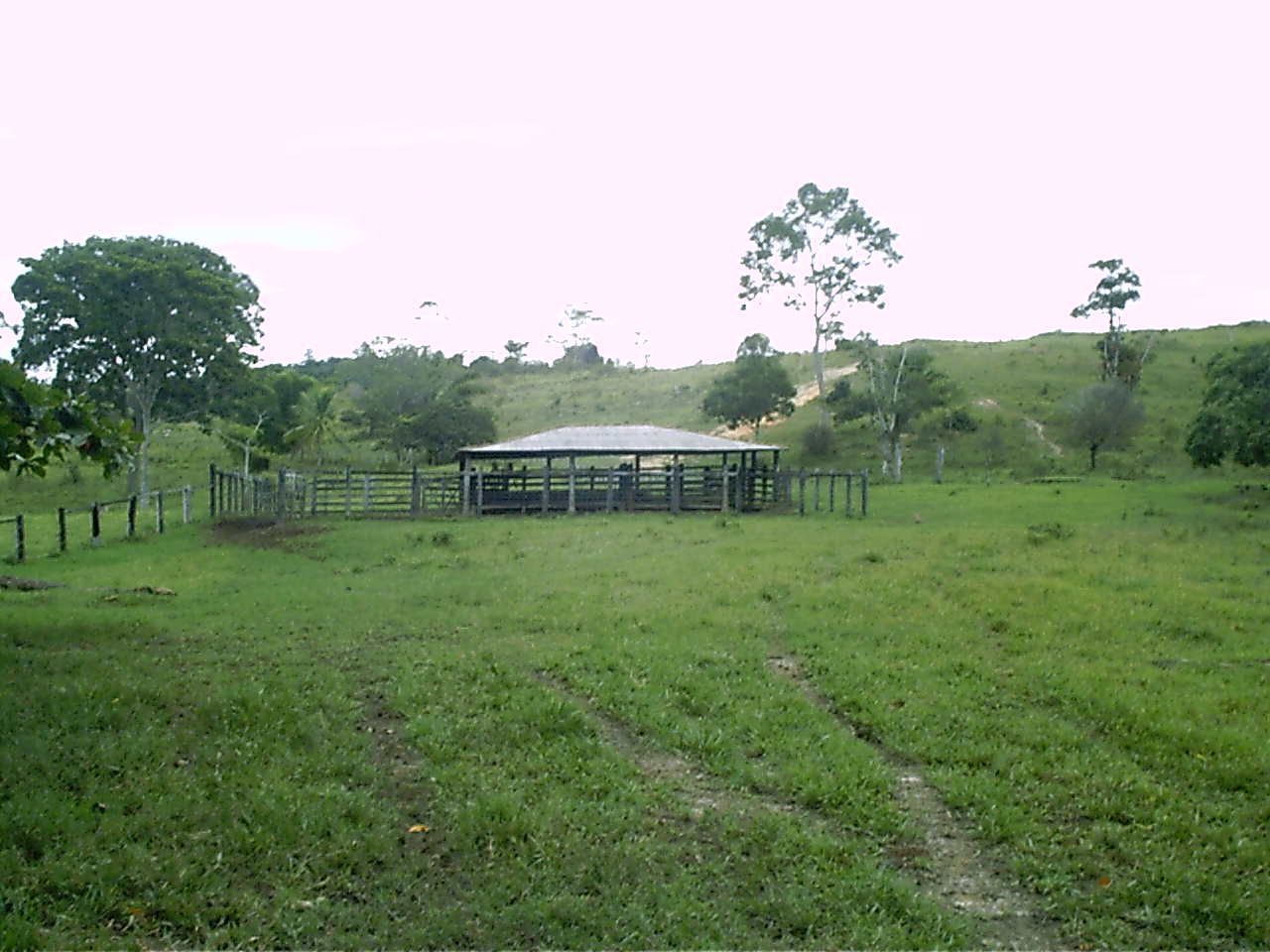 520 hectares no Sul da Bahia