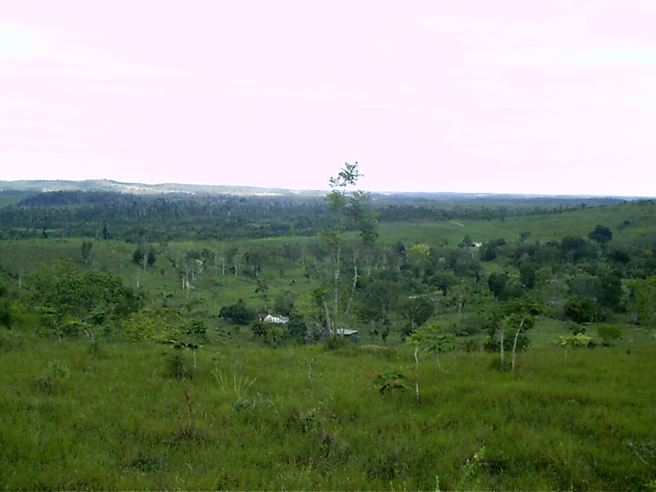520 hectares no Sul da Bahia