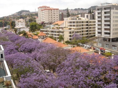 Apartamento alugo no Funchal