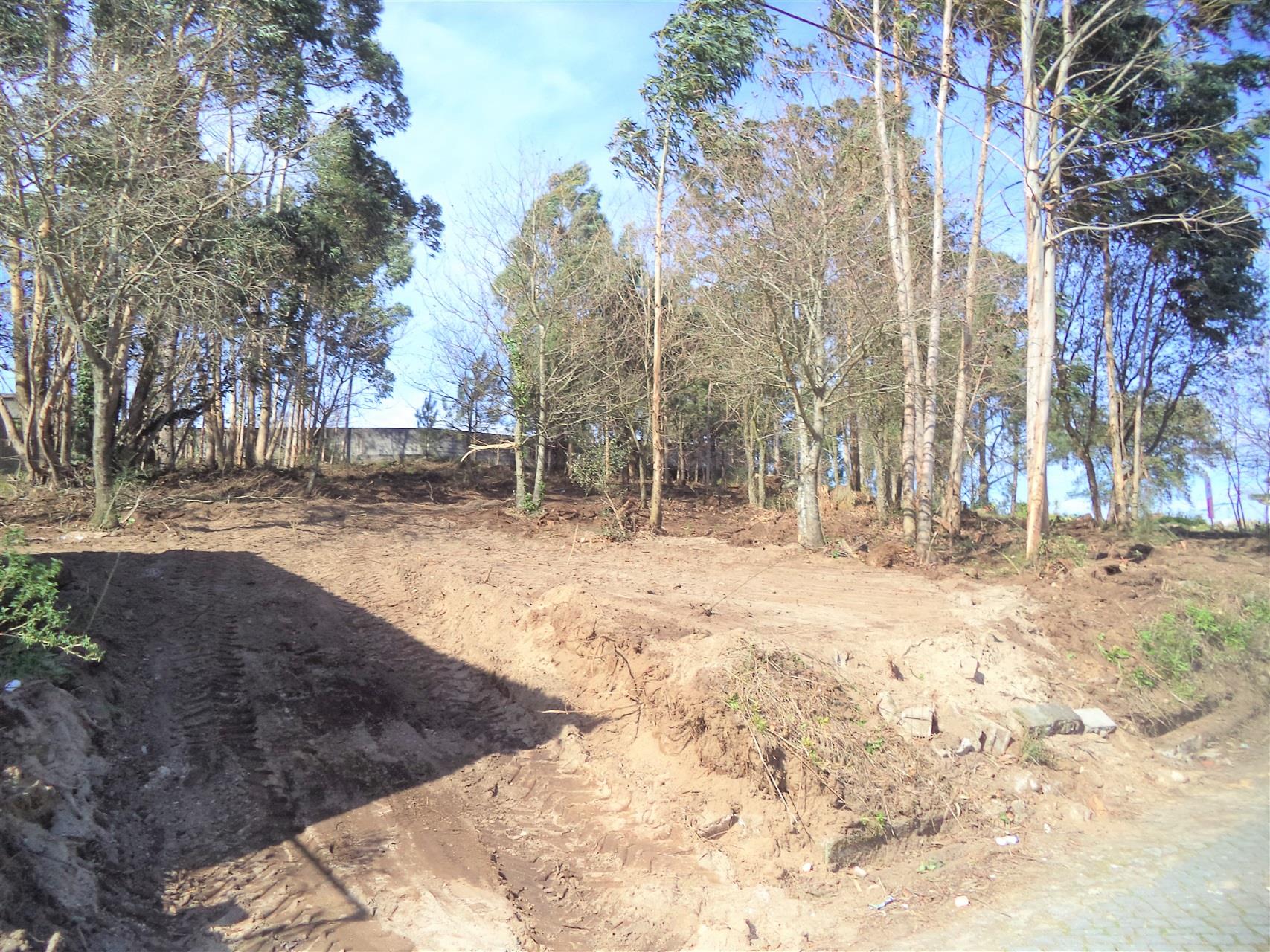 Terreno para construção em Vila Chã, Esposende