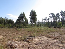 Terreno para construção em Vila Chã / Esposende (2810)