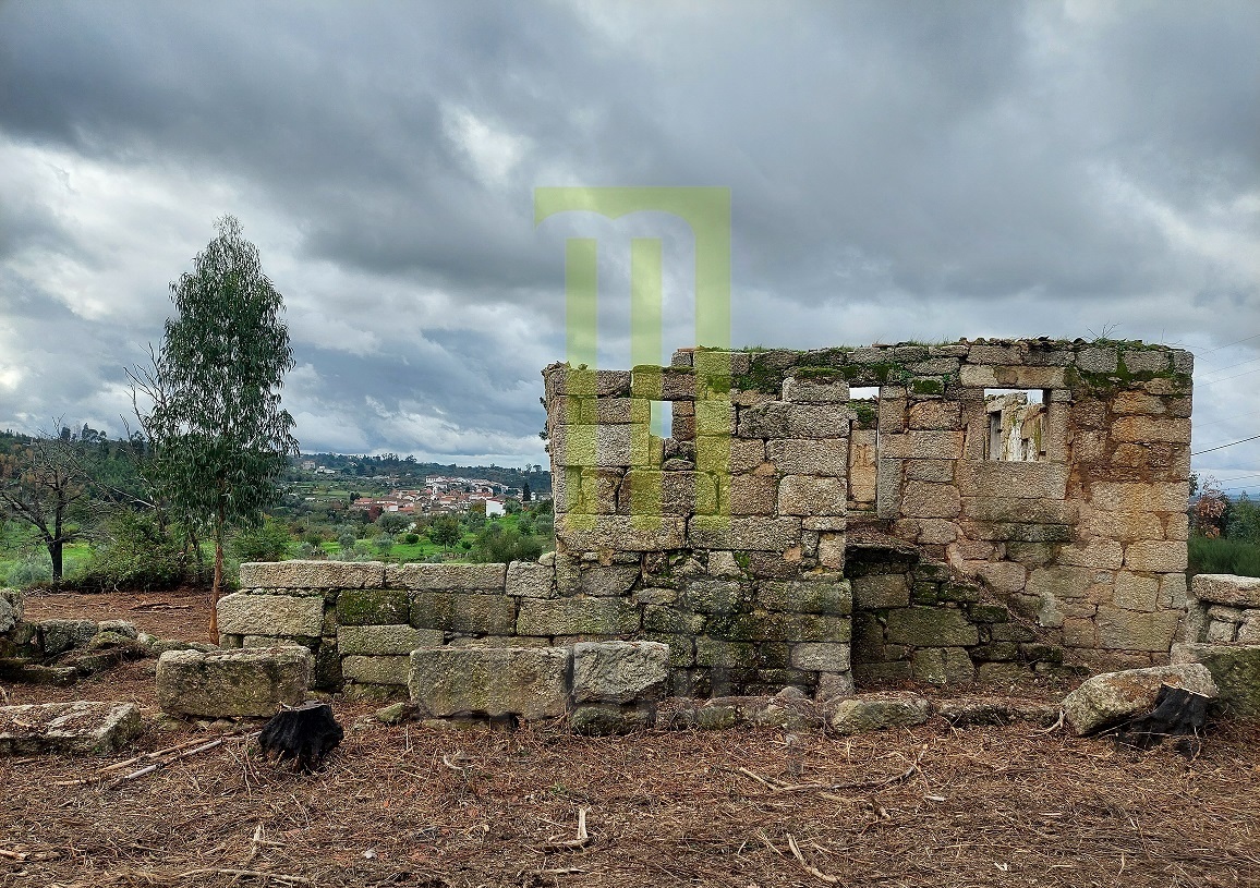 Quinta dos Vinhais com uma ruína para reconstruir